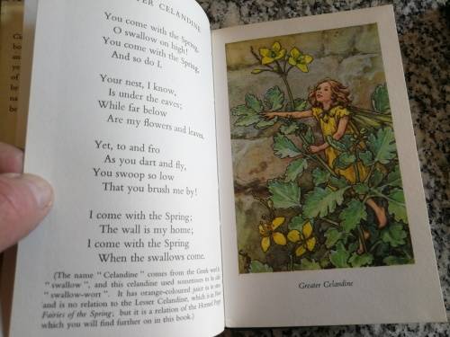Reserved for Handwoven Artist CICELY MARY BARKER FLOWER FAIRIES OF THE WAYSIDE