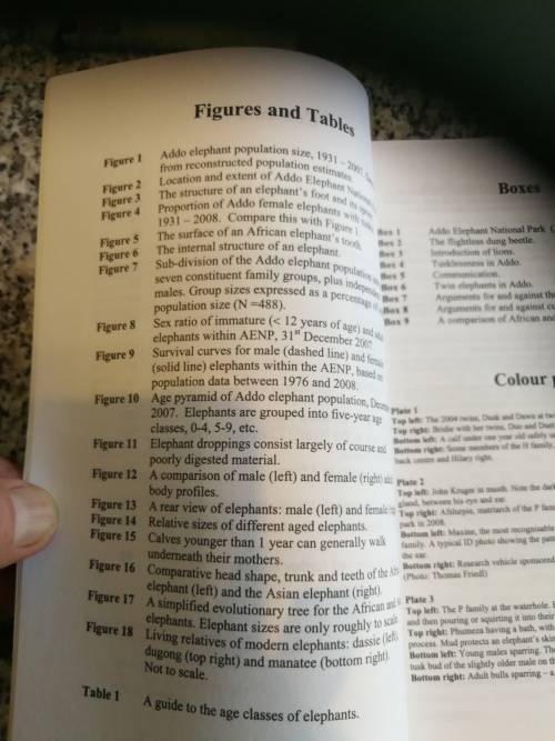 A FIELD GUIDE TO THE ADDO ELEPHANTS ANNA WHITEHOUSE PAT IRWIN & KATIE GOUGH  wildlife game reserve )