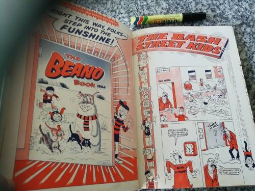 THE BEANO BOOK 1984  annual