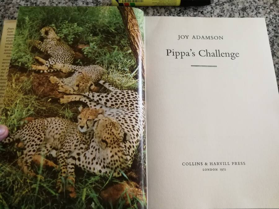 Reserved for TannieSua JOY ADAMSON PIPPA`S CHALLENGE ( of Born Free  - Kenya )