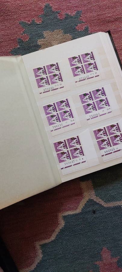 Stamp Stock Book  - South African Blocks various  in 16pg Album, Size: 30cm x 23cm
