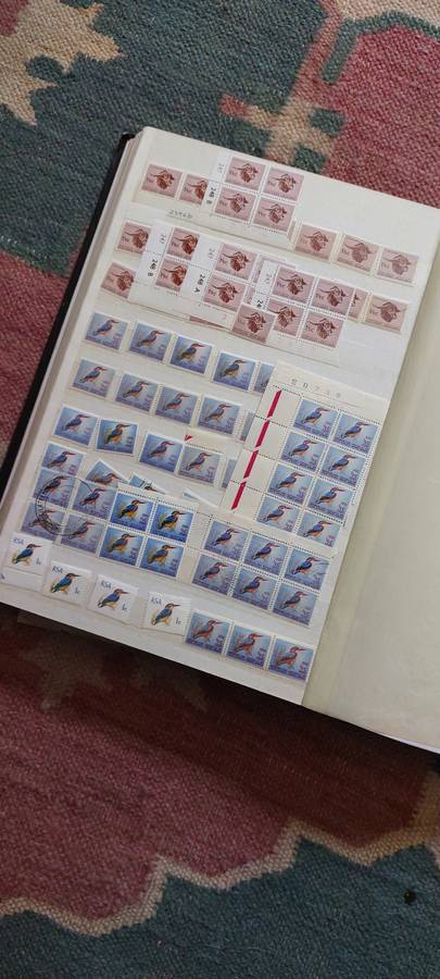 Stamp Stock Book  - South African Blocks various  in 16pg Album, Size: 30cm x 23cm
