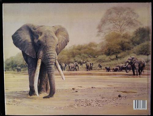 Elephants of Africa Paul Bosman Anthony Hall-Martin 1st Edition