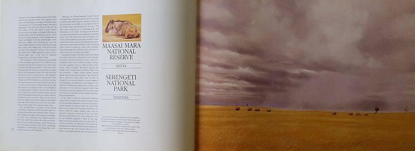 Elephants of Africa Paul Bosman Anthony Hall-Martin 1st Edition