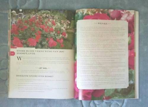 Rose SA Groeigids vir al 4 seisoene - Nan Steyn