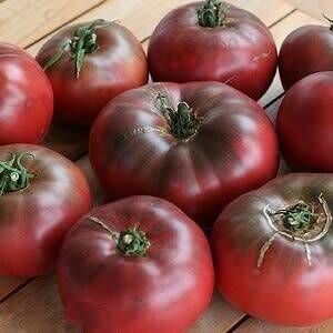 Tomato `cherokee purple` - 15 seeds