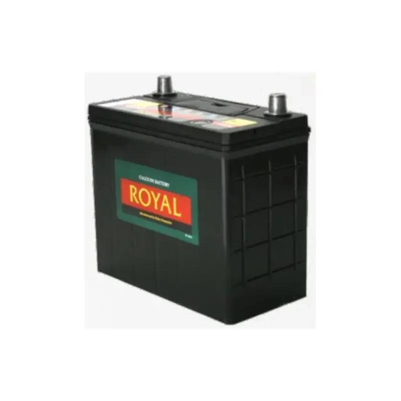 Royal Delkor battery NS60SMF 12v 45AH
