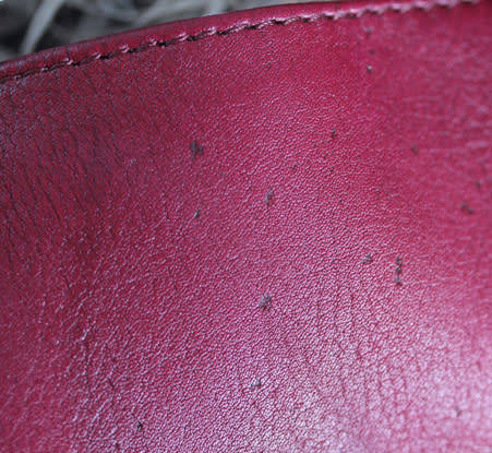 GENUINE LEATHER `PATRICK COX` HOBO HANDBAG, MAROON WITH GENUINE HIDE DETAIL BRAND NEW