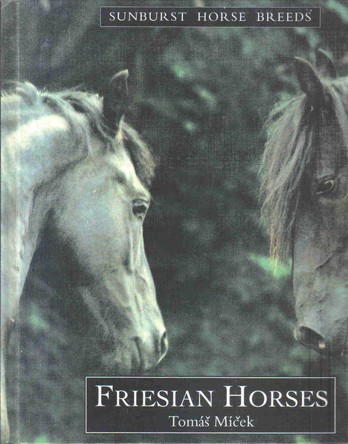 Sunburst Horse Breeds Series  -- Friesian Horses