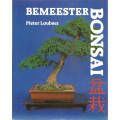 Bemeester Bonsai  --  Pieter Loubser