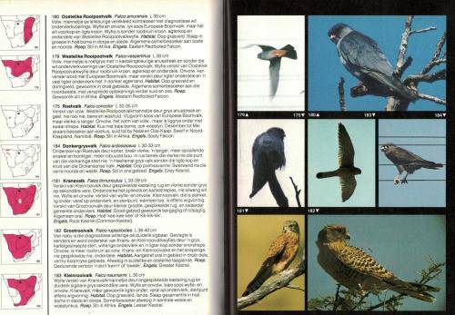 Ian Sinclair se Veldgids tot die Voels van Suider-Afrika