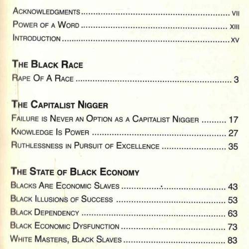 Capitalist Nigger - The Road to Success  --  Chika Onyeani