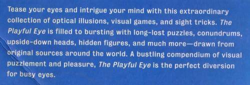 The Playful Eye  --  Julian Rothenstein and Mel Godding