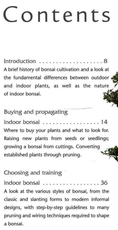 Successful Bonsai -- David Squire