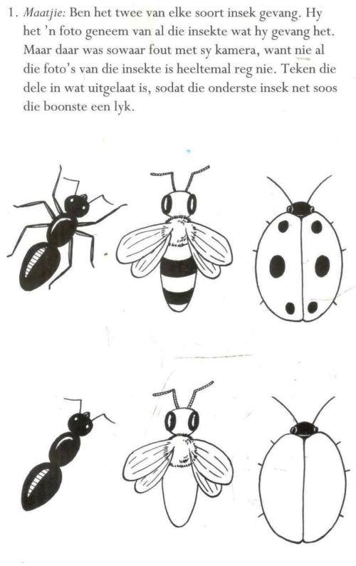 50 Stories met Aktiwiteite