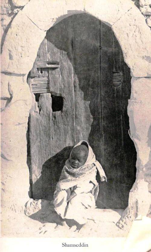A Grave For A Dolphin    ---     Alberto Denti di Pirajno