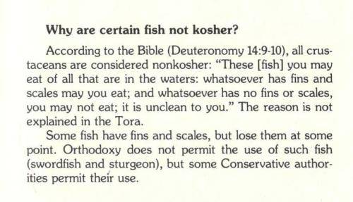 The Jewish Book of Why