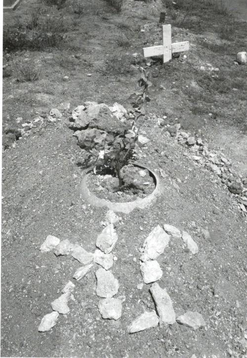 Kerkorrel  --  Willem Pretorius