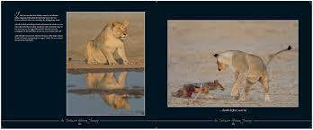 An Intimate African Journey  --  Lou Coetzer