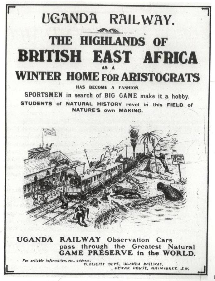 Safari  -  A Chronicle of Adventure  --  Bartle Bull