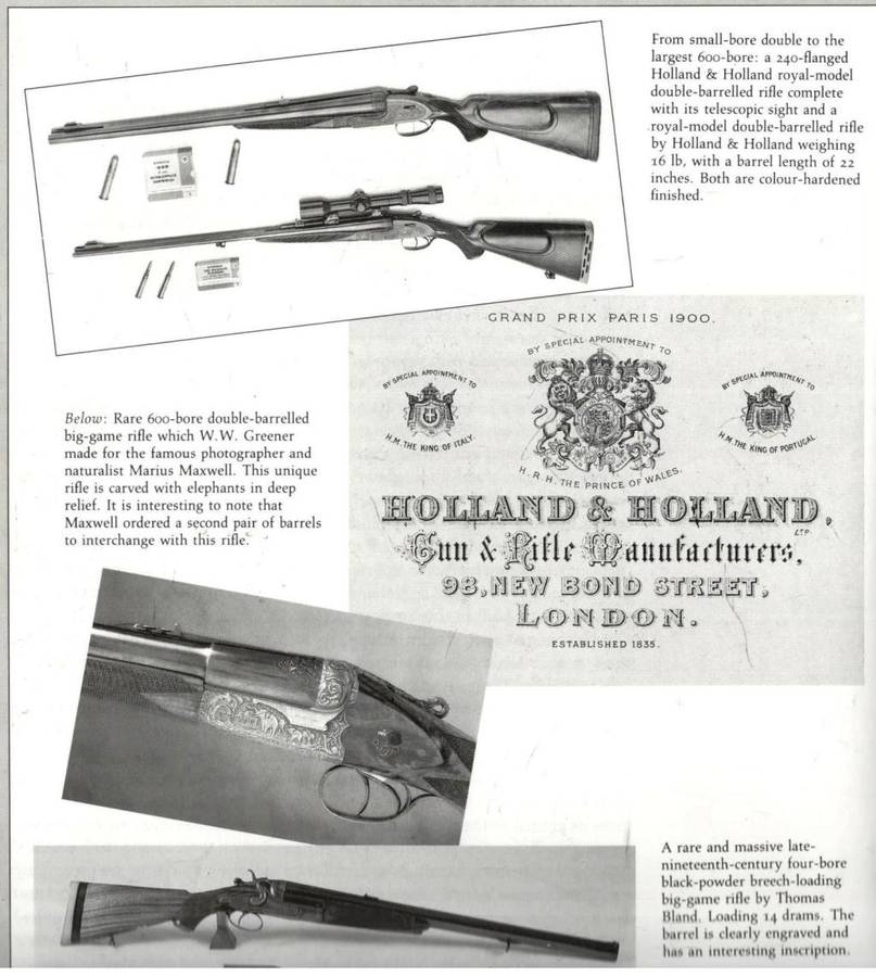 Safari  -  A Chronicle of Adventure  --  Bartle Bull