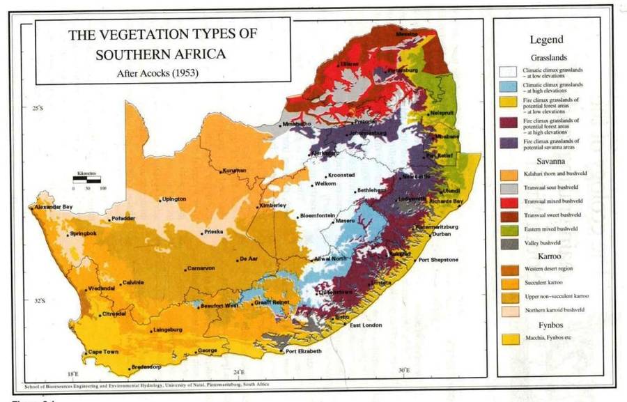 Veld Management in South Africa  --  Neil Tainton