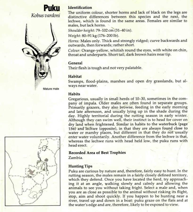 Hunting on Safari in East and Southern Africa  --  Aubrey Wynne-Jones