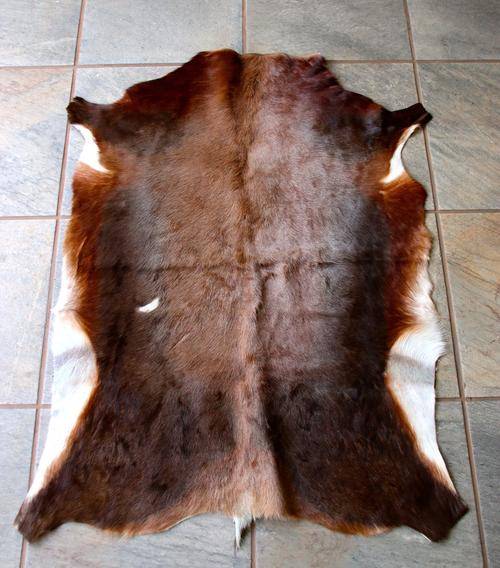 Beautifully Tanned Blesbok Hide (High grade A)