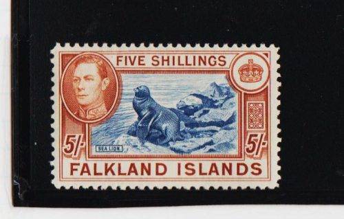 FALKLAND ISLANDS-KGV1 FIVE SHILLINGS -FINE UNMOUNTED MINT-CV R3450.00-SG 161-SCARCE STAMP AS UM