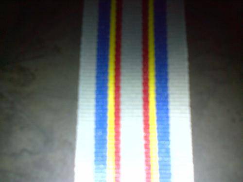 SAPS 20 Years Loyal Service Medal Ribbon 15cm