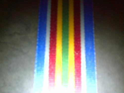 SAPS 10 Year Anniversary Medal Ribbon 25cm