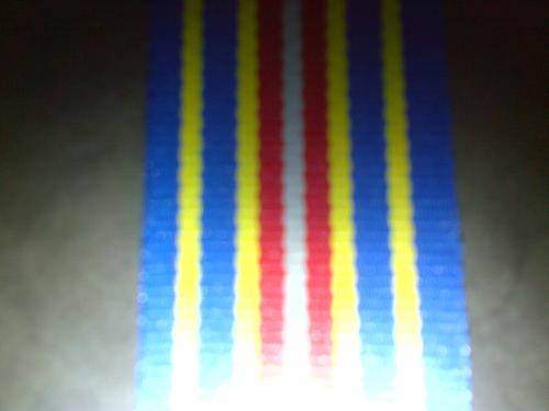 SAPS 40 Year Loyal Service Medal Ribbon 15cm