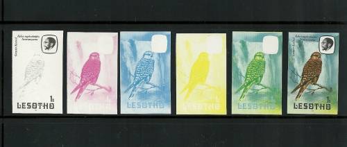 LESOTHO MNH BIRDS - IMPERF ARTISTs PROGRESSIVE PROOFs, 1s Greater Kestrel (6) (R385+)