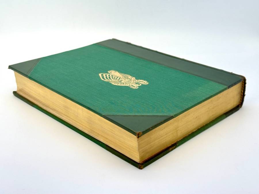 The Mammals of South Africa by Austin Roberts (Deluxe Edition)