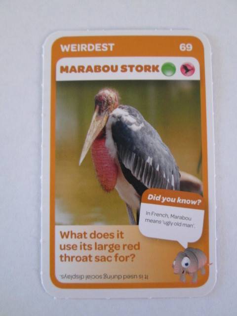 #69 MARABOU STORK (Weirdest) - Pick n Pay Super Animals Trading Card