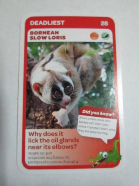 #28 Bornean Slow Loris (Deadliest) - Pick n Pay Super Animals Trading Card