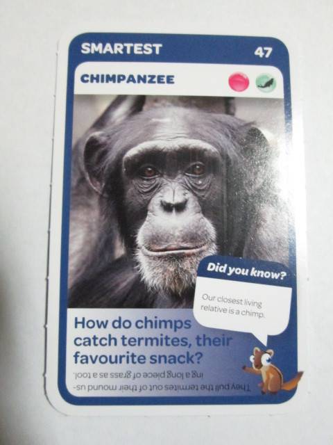 #47 Chimpanzee (Smartest) - Pick n Pay Super Animals Trading Card