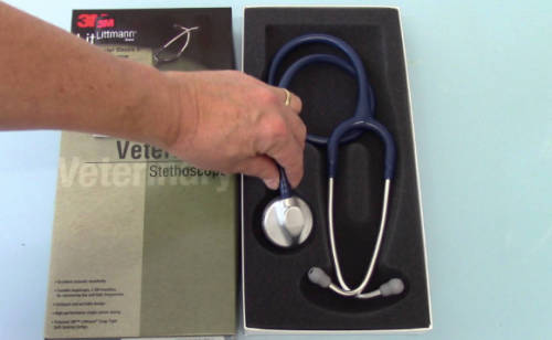 Littmann Veterinary Master Classic II: Stainless Steel- Navy (FREE SHIPPING)