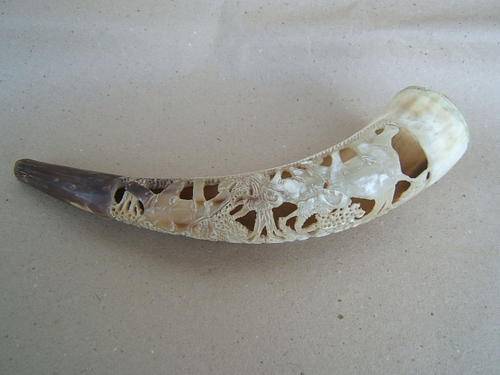Carved Cow Horn