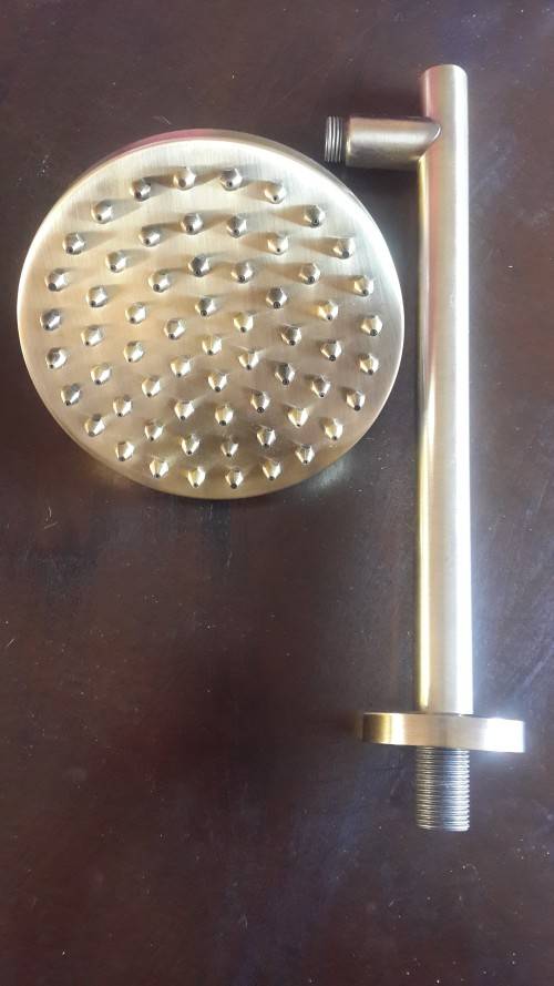 IMPORTED OLIVER BRONZE / GOLD SHOWER ROSE