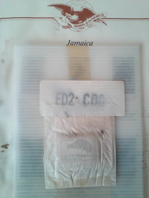 Massive Collection Of Stamps Including Three Circa 1982 (22K Gold) Plus Mounted / Commerative Stamps
