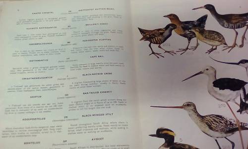 4 Volumes Birds of the Kruger and other National Parks (Circa 1974)