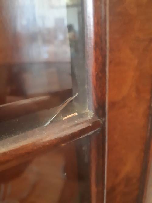 Stunning Art Nouveau 1890 - 1899 Corner Display Cabinet