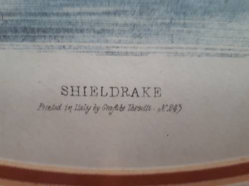 Shieldrake Limited Numbered Print 243 Glass Framed