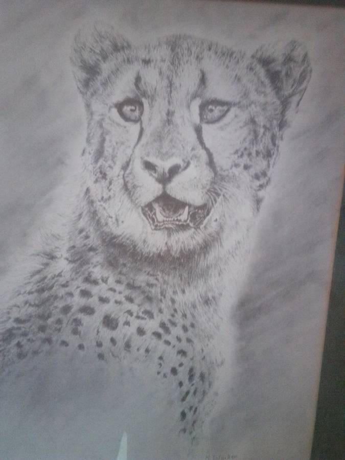 Popular SA Artist K Wacker 'Cheetah' Signed