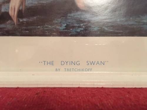 Tretchikoff: Dying Swan print