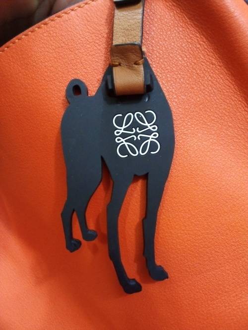 Loewe Lost Dog Multicolour (John Allen collection) Bag