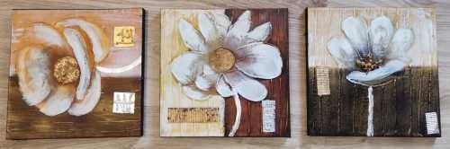 3 Beautiful canvas Frames