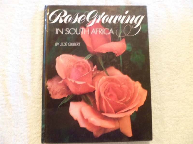 Rose Growing in South Africa by Zoe Gilbert