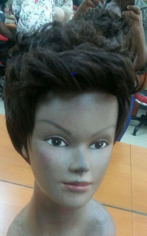 Brazilian or Peruvian HALLEY BERRY  wig/8A/300g